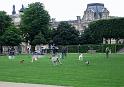 Paris (197)